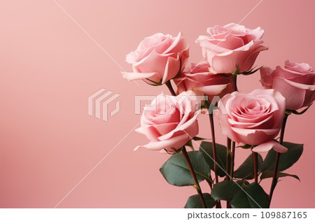 pink roses on a pink background pink roses on a pink background 109887165