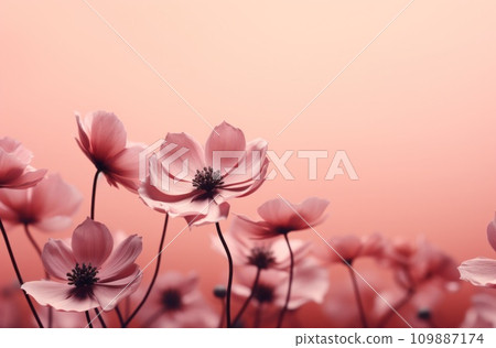 pink flower bouquet on a pink background pink flower bouquet on a pink background 109887174