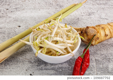 Asian cuisine Mash bean sprout 109887702