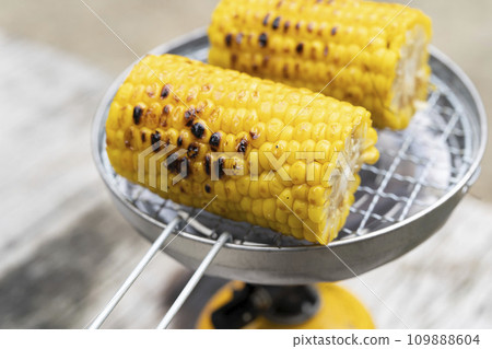 Corn roasted on a grill Corn roasted on a grill 109888604
