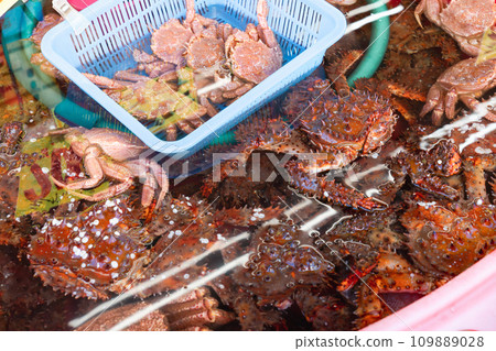 函館早市、螃蟹銷售 109889028