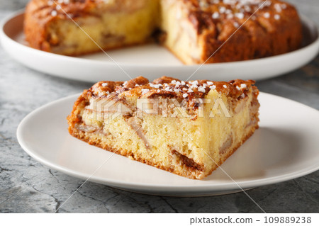Sweet fruit dessert apple pie with cinnamon on a plate close-up. Horizontal 109889238