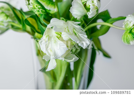 Bunch of Parrot Style Tulips Bunch of Parrot Style Tulips 109889781