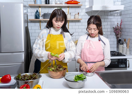 Two women making salad in the kitchen Two women making salad in the kitchen 109890063