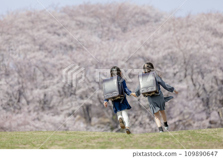 一年級學生穿過櫻花盛開的公園的後視圖 109890647