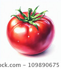 Fresh tomato 109890675