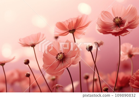 pink flower bouquet on a pink background pink flower bouquet on a pink background 109890832