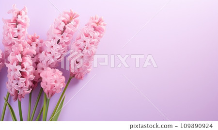 hyacinths against a flat pink background 109890924