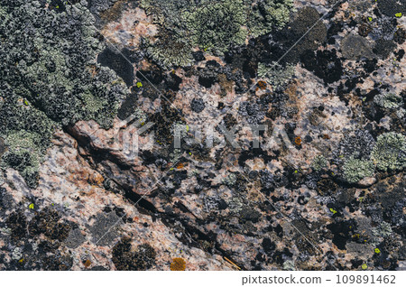 texture of stone mountain with moss close-up 109891462
