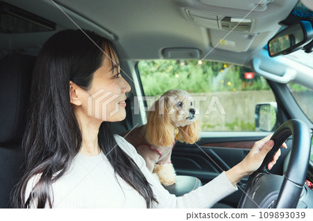 一位女士帶著她的狗開車 一位女士帶著她的狗開車 109893039