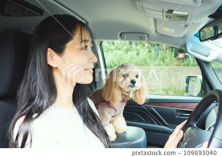 A woman driving with her dog A woman driving with her dog 109893040