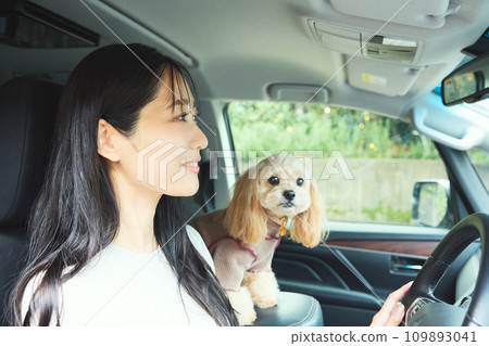 A woman driving with her dog 109893041