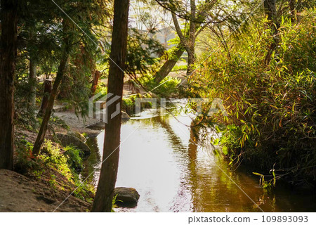 和水一起生活 109893093