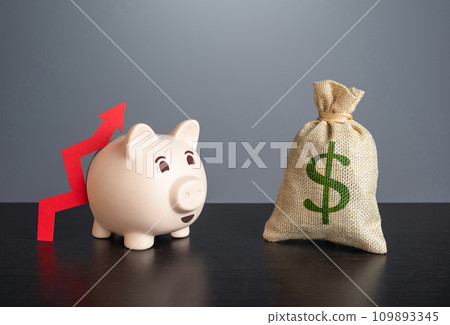 Piggy bank with red arrow up and dollar money bag. Capital increase. Increasing savings and retirement funds. Financial planning and analysis. High income on deposits and investments. 109893345