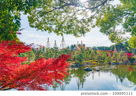秋天的天鵝花園（愛知縣名古屋市） 109895111