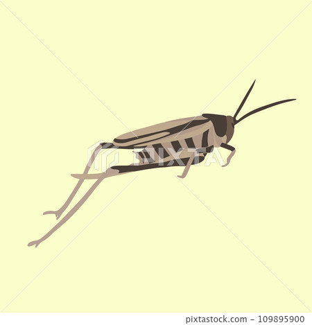 Vector isolated illustration of a grasshopper on a yellow background. 109895900