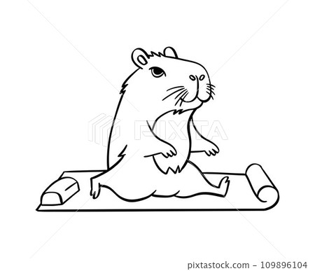 A cute capybara does yoga. Vector illustration hand drawn. For coloring books, postcards, templates. A cute capybara does yoga. Vector illustration hand drawn. For coloring books, postcards, templates. 109896104