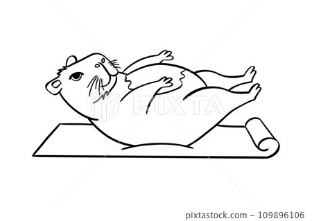 A cute capybara does yoga. Vector illustration hand drawn. For coloring books, postcards, templates. A cute capybara does yoga. Vector illustration hand drawn. For coloring books, postcards, templates. 109896106