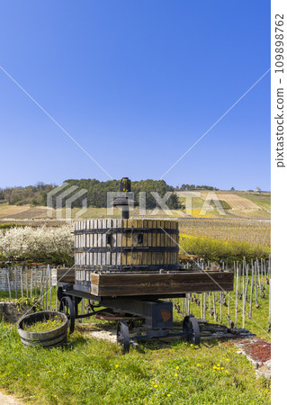 Old wine press, Cote de Nuits, Burgundy, France 109898762