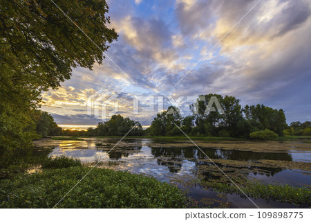 Cher River, Pays de la Loire, France 109898775