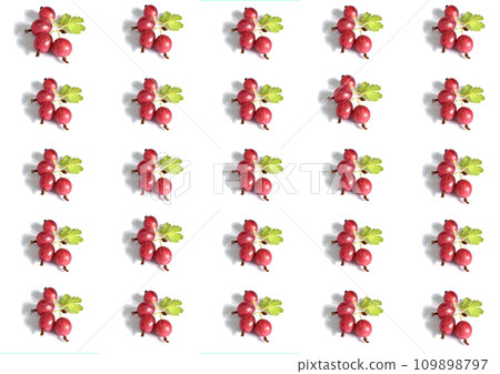 A collage of photographs of several gooseberries on a white background that is repeated twenty-five times. Created with GIMP 109898797