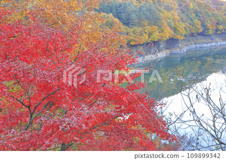 Lake Sonohara in autumn leaves Lake Sonohara in autumn leaves 109899342