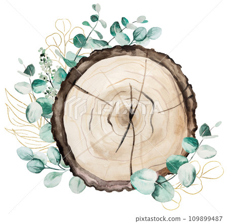 Watercolor wooden round slices with green eucalyptus leaves bouquet. Isolated illustration 109899487