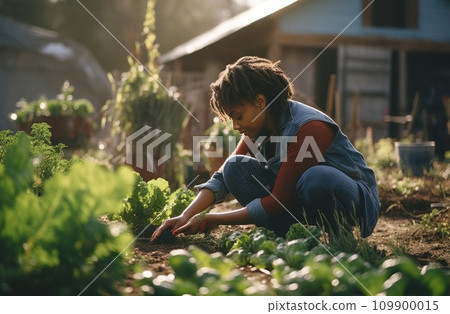african american woman working with vegetables in a community garden female 109900015