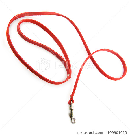 Leather leash for a dog isolated on a white. 109901613