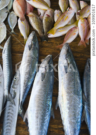Freshly caught fish on the shelf. Street market in Sri Lanka. Vertical photo. Freshly caught fish on the shelf. Street market in Sri Lanka. Vertical photo. 109901617