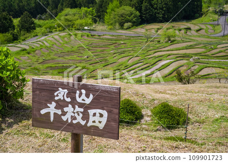 《Maruyama Senmaida in Spring》 Terraced rice fields covered with water 109901723