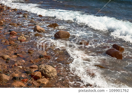 View of the Red Sea shore, pebble beach and kami close-up. Leisure concentration. Egypt, Dahab 109901762