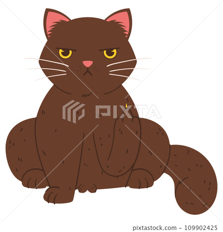 A disgruntled cat sits up and shows his middle finger. Grumpy Fluffy cat black color 109902425