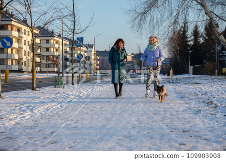Two friends are walking through a residential area on a winter day. Two friends are walking through a residential area on a winter day. 109903008