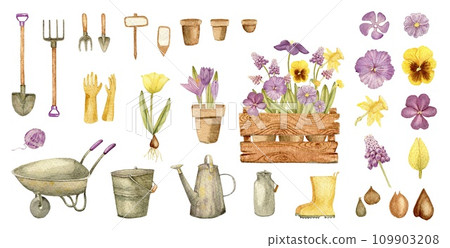 Set of spring flowers and garden tools isolated on white background. 2024. Clipart. sticker pack. Watercolor hand drawn art illustration. For cards, handmade textiles, prints, menus, poster 109903208