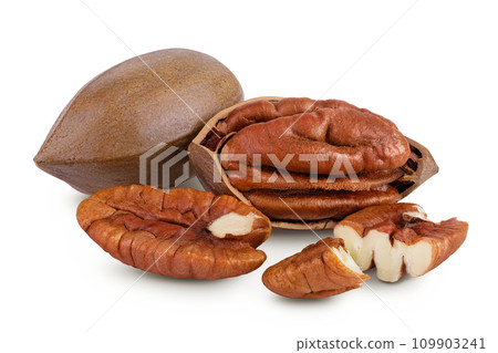 broken pecan nut isolated on white background with full depth of field 109903241