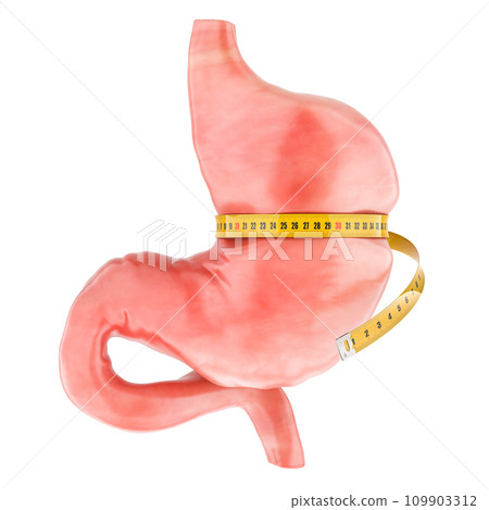 Human stomach with measure tape around. Obesity, diet and weight loss or gastric resection, concept. 3D rendering Human stomach with measure tape around. Obesity, diet and weight loss or gastric resection, concept. 3D rendering 109903312