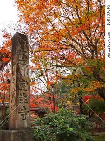 室生寺石碑被秋葉覆蓋 109903665