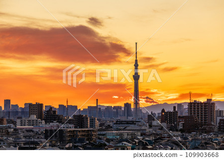 《東京》美麗的都市夜空和東京晴空塔 《東京》美麗的都市夜空和東京晴空塔 109903668