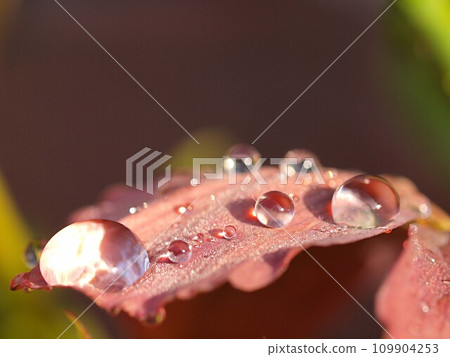 Waterdrop image 109904253