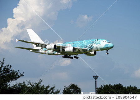 Flying Honu Kai Flying Honu Kai 109904547