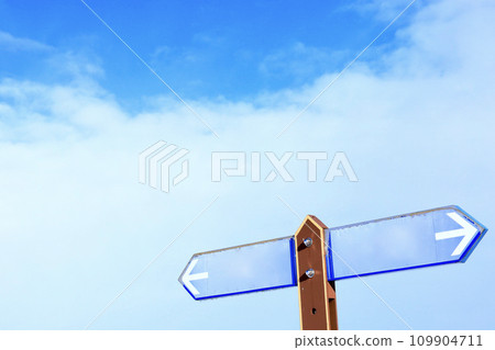 藍天的分支路標 藍天的分支路標 109904711