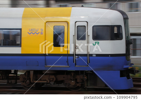 Limited Express Wakashio (255 series train: Tokyo ⇔ Awa Kamogawa) 109904795