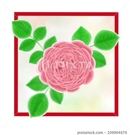 Illustration of a beautiful pink rose flower and leaves with many petals 109904879