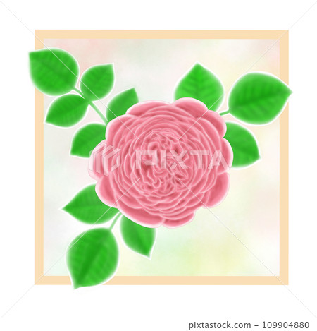 一朵美麗的粉紅色玫瑰花和許多花瓣的葉子的插圖 109904880