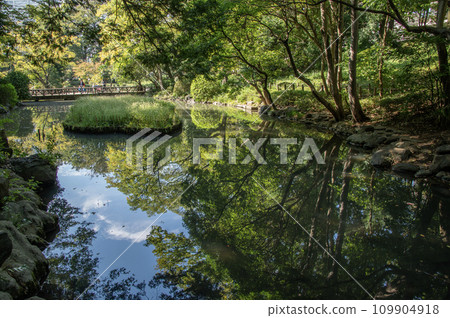 東京都港區南麻布有棲川之宮紀念公園 109904918