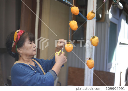 A woman drying persimmons 109904991