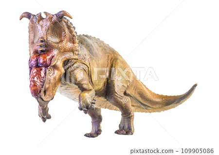 Pachyrhinosaurus dinosaur on isolated background Pachyrhinosaurus dinosaur on isolated background 109905086