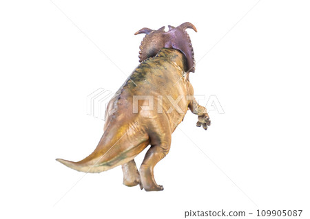 Pachyrhinosaurus dinosaur on isolated background 109905087