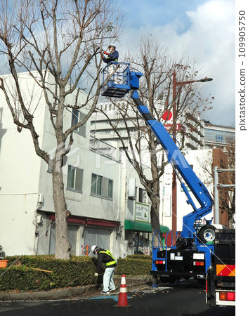 Street tree pruning work: aerial work vehicle 109905750